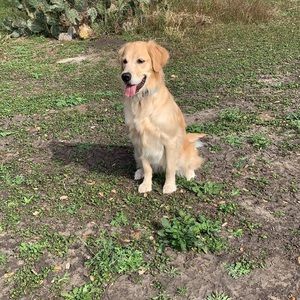 Meet your Posher, Dane